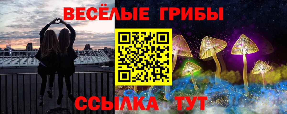 Псилоцибиновые грибы MAGIC MUSHROOMS Губкинский