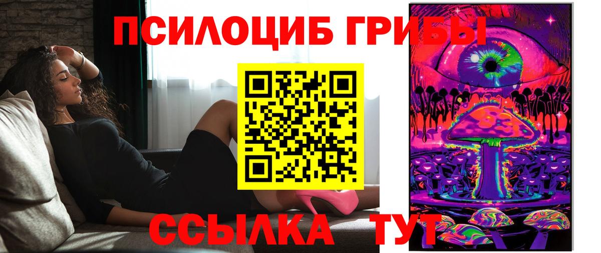 Псилоцибиновые грибы мицелий  Вход с VPN  Псилоцибиновые грибы ЛСД  Губкинский 
